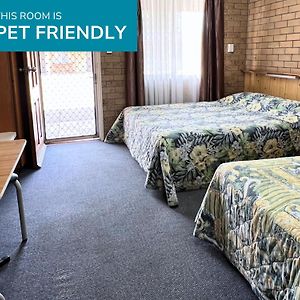 Budget Queen Room Pet Friendly